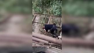 В Керчи полиция спасла женщину от падения с моста (ВИДЕО)