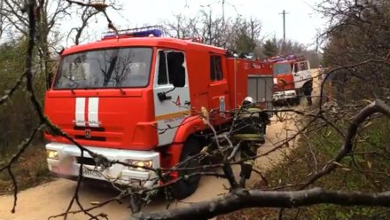 Учения МЧС в Севастополе завершились ликвидацией крупного лесного пожара