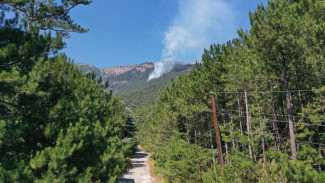 Для ликвидации пожара под Ялтой необходима помощь добровольцев