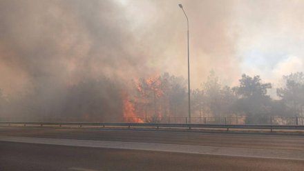 Ландшафтному пожару в Севастополе присвоен 4-й максимальный ранг