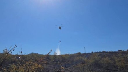 Ландшафтный пожар в Крыму локализовали на 12 гектарах