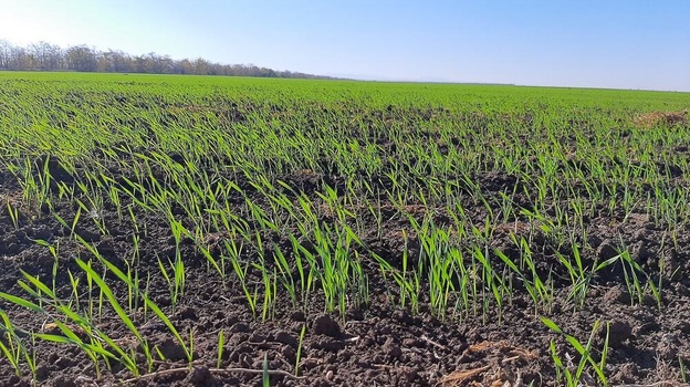 Сельхозпредприятия Крыма на 90% обеспечены удобрениями