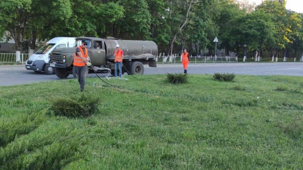В Симферополе проводят санитарную обрезку деревьев