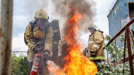 Чрезвычайная пожарная опасность сохранится в Крыму до 27 августа