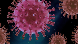 Российский учёный сравнил «Омикрон» с живой вакциной от коронавируса