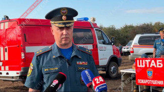  Спасатели не дали огню подобраться к селу Партизанское