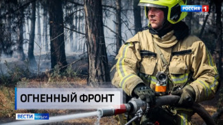 С начала года в Крыму произошло свыше трёх тысяч пожаров