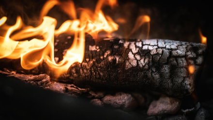 МЧС: 1207 возгораний сухой растительности потушили в Крыму с начала года