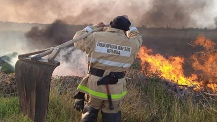 В августе возросло число неконтролируемых возгораний в Крыму