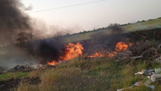 Более 80 раз за месяц пожарная охрана Крыма выезжала на тушение сухой растительности