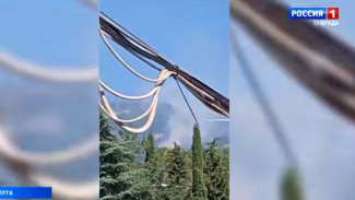 В ялтинском заповеднике вспыхнул пожар: что известно к этому часу 