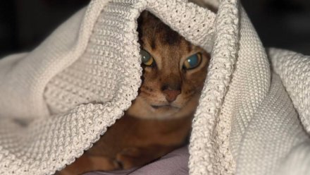  Тёплая суббота и прохладное воскресенье: прогноз погоды в Крыму на выходные