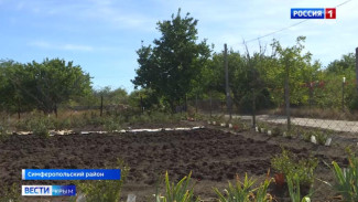 Крымчане могут по упрощённой схеме оформить документы на участки в СНТ