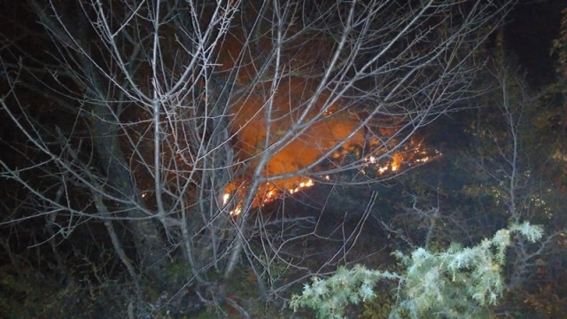 В Бахчисарайском районе загорелся лес