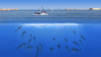 В Крыму стартовали съемки детского сериала Сергея Жигунова