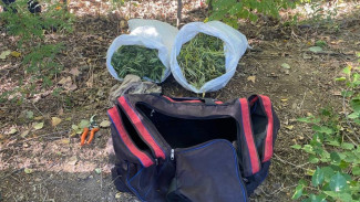 В Советском районе задержали двух крымчан с сумкой наркотиков