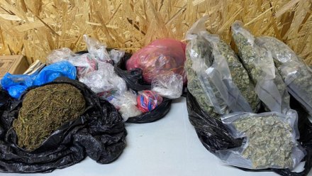 В рамках мероприятия «Мак» в Севастополе изъяли более килограмма наркотиков