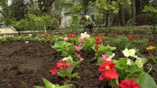 Две тысячи весенних цветов украсят Детский парк в Симферополе