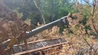 Новороссийские десантники уничтожили замаскированное орудие ВСУ на правом берегу Днепра в Херсонской области