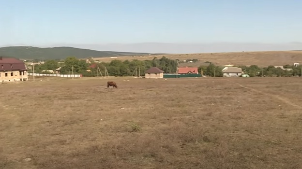 В Крыму мошенники незаконно завладели двумя гектарами земли