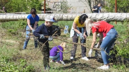 Более 30 общественных территорий расчистят на субботнике в Севастополе