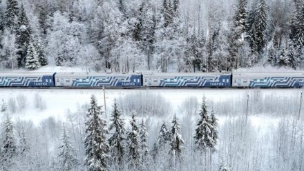 9 поездов в Крым и из Крыма задерживаются в пути после ЧП в Ростовской области