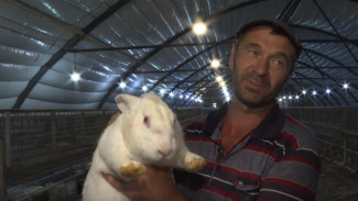 Как развивается кролиководство в Крыму
