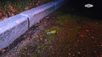 В Крыму предотвращен теракт против офицера Минобороны РФ