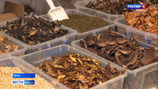 В Крыму растёт интерес к пешему туризму, рыбалке и тихой охоте