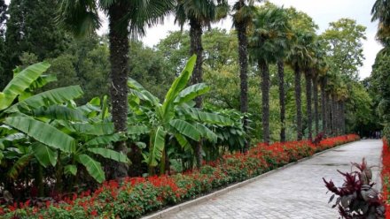 Студенты и обладательницы имени Татьяна могут бесплатно посетить Никитский ботанический сад