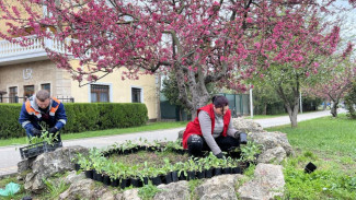 Парк Гагарина в Симферополе украсят цветы из Южной Америки