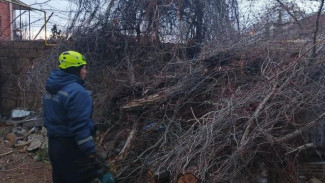 Дерево упало на газовую трубу в Судаке из-за шторма