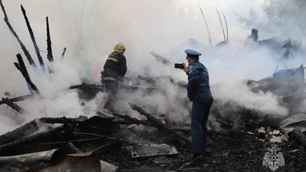 В Крыму ликвидировали 11 пожаров и обезвредили три взрывоопасных предмета
