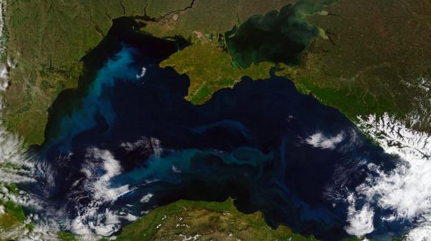 Специалисты оценили ситуацию с загрязнением Черного моря у берегов Крыма