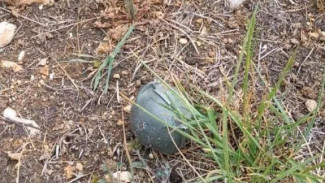 В Севастополе найдены все неразорвавшиеся снаряды от украинских ракет 