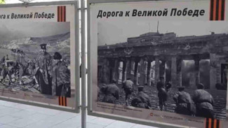 Выставка военкоров из Симферополя открылась в столице Крыма к 9 мая