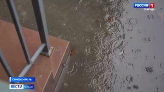 Горячая линия в Крыму: какую помощь оказали крымчанам 