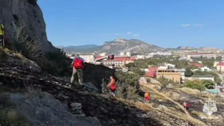 В Судаке в районе Генуэзской крепости тушат возгорание сухостоя 