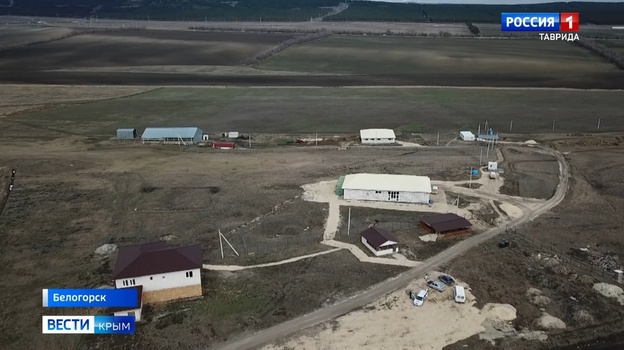 Переехавший из Екатеринбурга в Крым сыровар может лишиться фермы