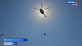 В Крыму ликвидировали ландшафтный пожар 