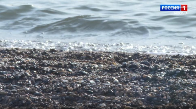 Безопасно ли купаться на пляжах Ялты: лаборатории исследовали морскую воду