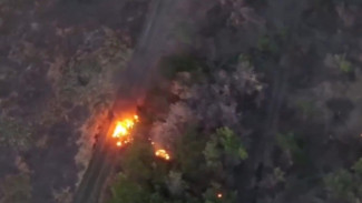 Российские дроноводы уничтожили технику и личный состав ВСУ в Запорожской области