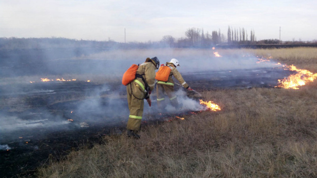 Масштабный пожар произошёл в садовом товариществе Севастополя