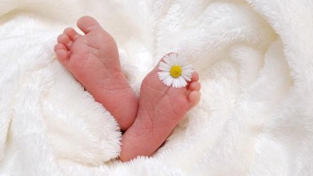 В России упростили процедуру регистрации новорожденных