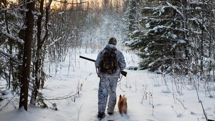 Более 40 охотников в Крыму оштрафовали за нарушение законодательства