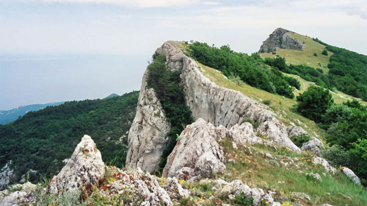 Крым вел. Гора АТ баш. Гора Атбаш Крым. Фото с горы Крым АТ-баш. Гора Лошадиная голова в Крыму.