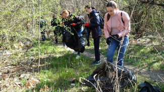 В Ялте проведут масштабный субботник по расчистке улиц