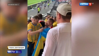 В Крыму ответили на избиение российского фаната на матче «Швеция – Украина»