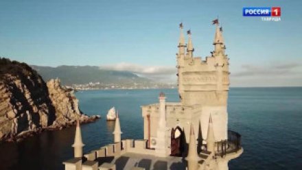 Полицейские Крыма ищут живодёра, выбросившего с обрыва кошку