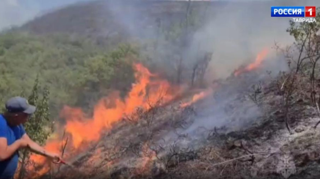 Что стало причиной масштабного пожара в лесу под Судаком